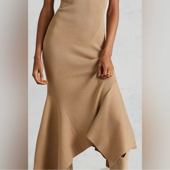 Anthropologie NWOT Mock Neck Midi Dress Cedar Tan Medium - Picture 2 of 10